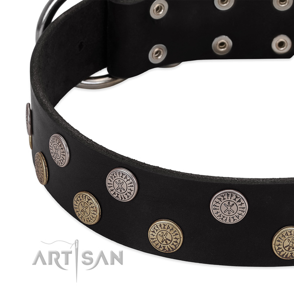 Stunning decorations on natural leather dog collar for comfy wearing