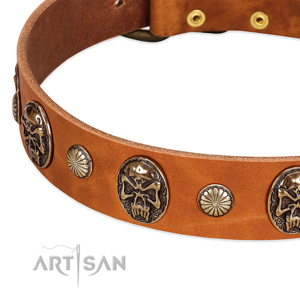 Strong decorations on full grain natural leather dog collar for your canine