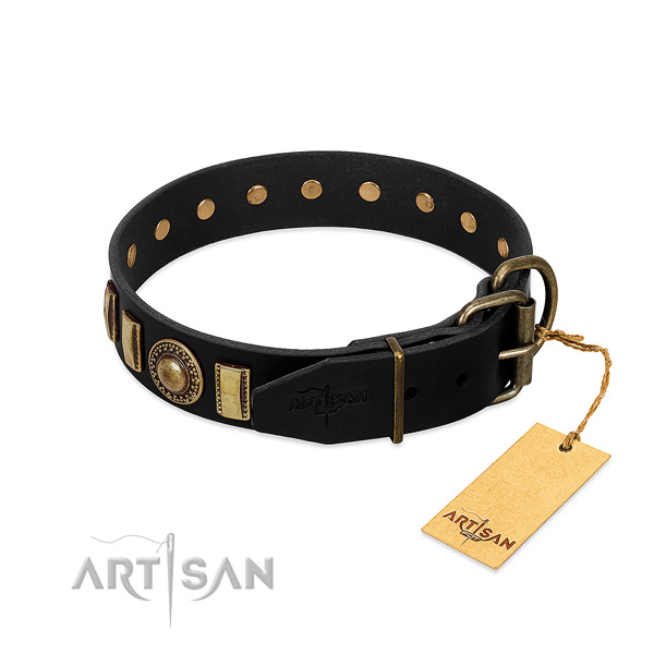 Soft to touch full grain leather dog collar with studs