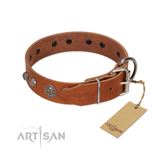 Reliable decorations on full grain natural leather dog collar for your four-legged friend