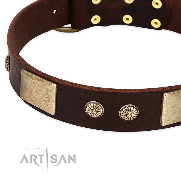 Durable studs on full grain natural leather dog collar for your four-legged friend