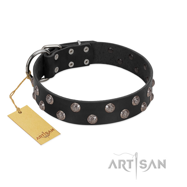 Walking soft leather dog collar with embellishments