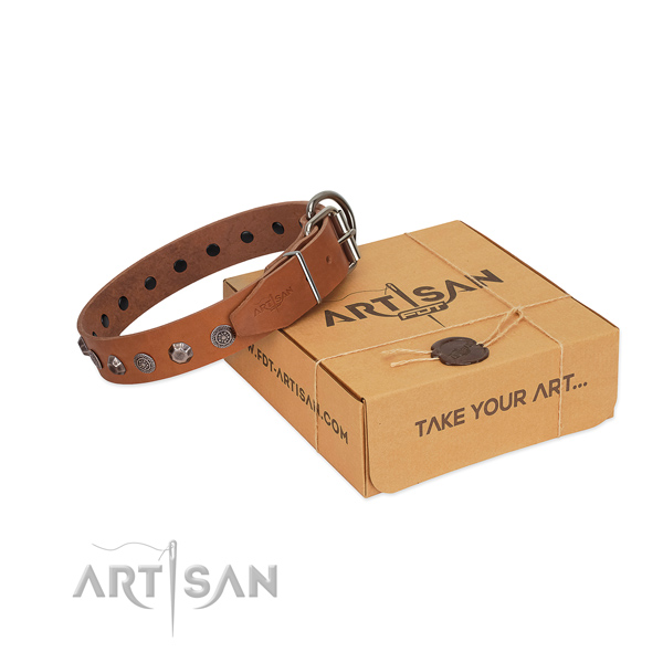 Quality leather dog collar with amazing adornments