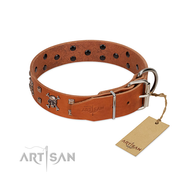 Daily use high quality full grain leather dog collar with studs