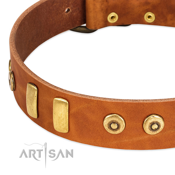 Reliable leather collar with fashionable decorations for your dog
