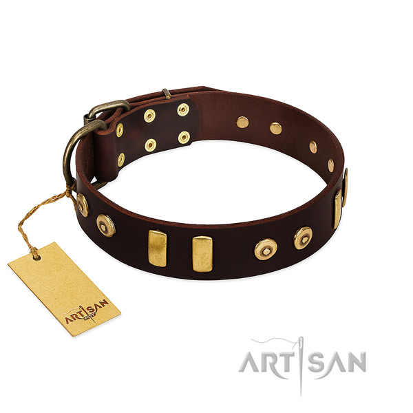 Genuine leather dog collar with amazing studs for handy use