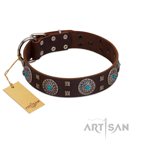Handy use genuine leather dog collar with significant studs