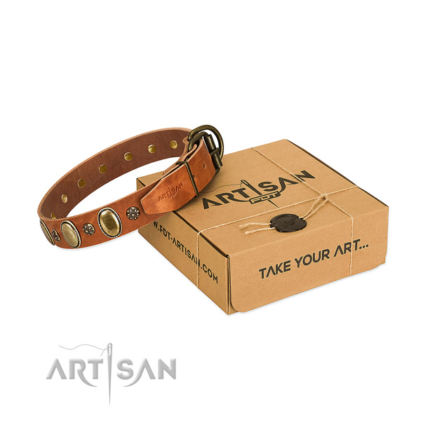 Walking top rate full grain natural leather dog collar with decorations