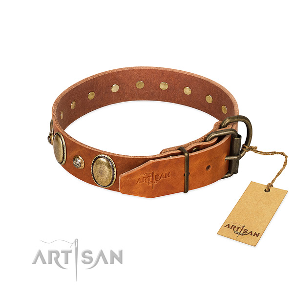 Rust resistant D-ring on full grain genuine leather collar for basic training your doggie