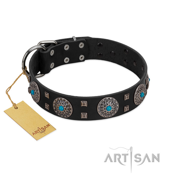 Daily use genuine leather dog collar with remarkable decorations