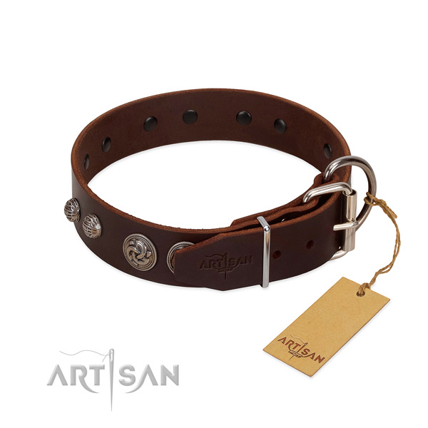Rust-proof studs on full grain leather dog collar for your dog