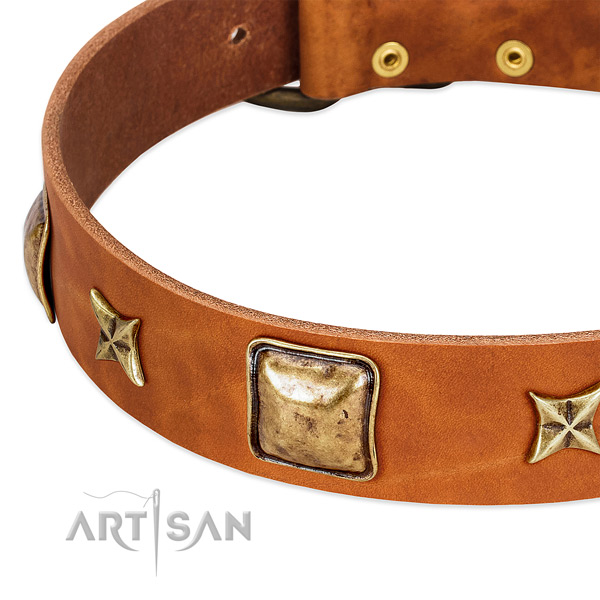 Rust-proof studs on genuine leather dog collar for your dog