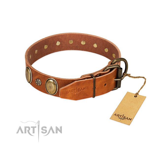 Stylish walking soft to touch full grain natural leather dog collar