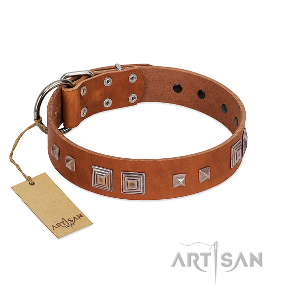 Corrosion proof traditional buckle on full grain genuine leather dog collar for everyday use