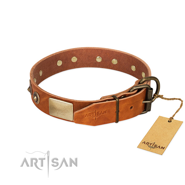 Rust-proof traditional buckle on easy wearing dog collar