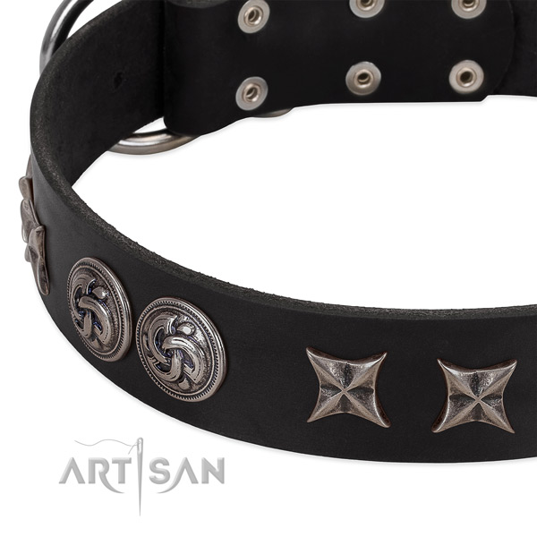 Full grain leather collar with exceptional embellishments for your four-legged friend