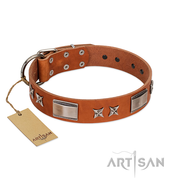 Top notch leather dog collar with reliable hardware