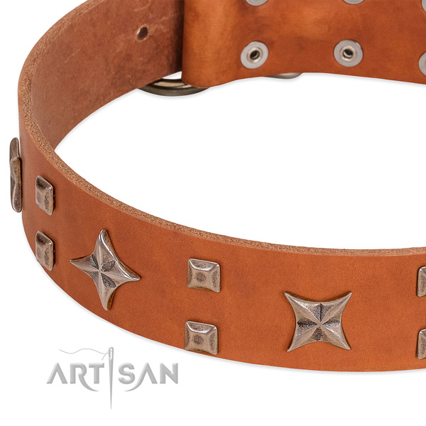 Rust resistant hardware on leather collar for walking your four-legged friend