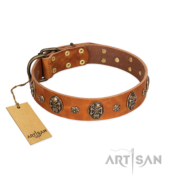 Inimitable genuine leather collar for your dog