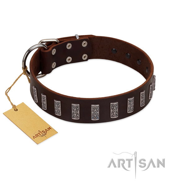 Top rate natural leather dog collar with corrosion proof hardware