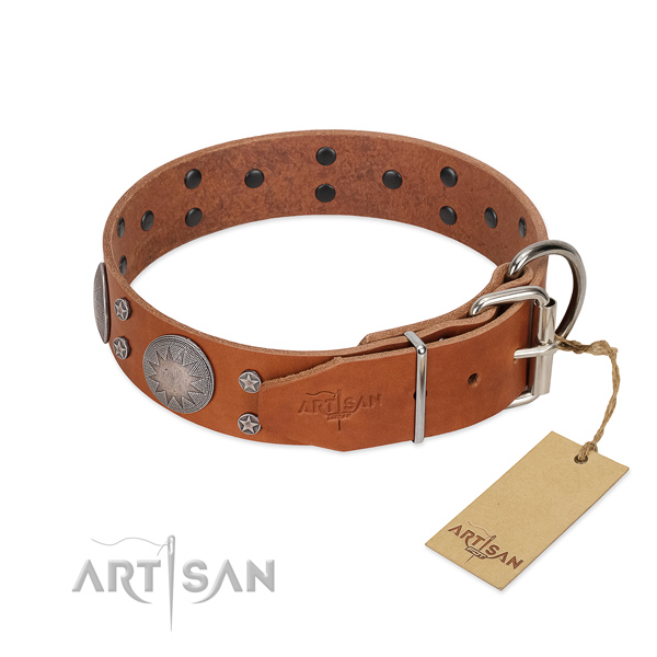 Strong traditional buckle on leather dog collar for stylish walking