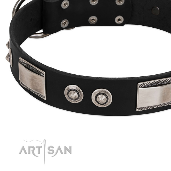 Trendy collar of natural leather for your beautiful dog