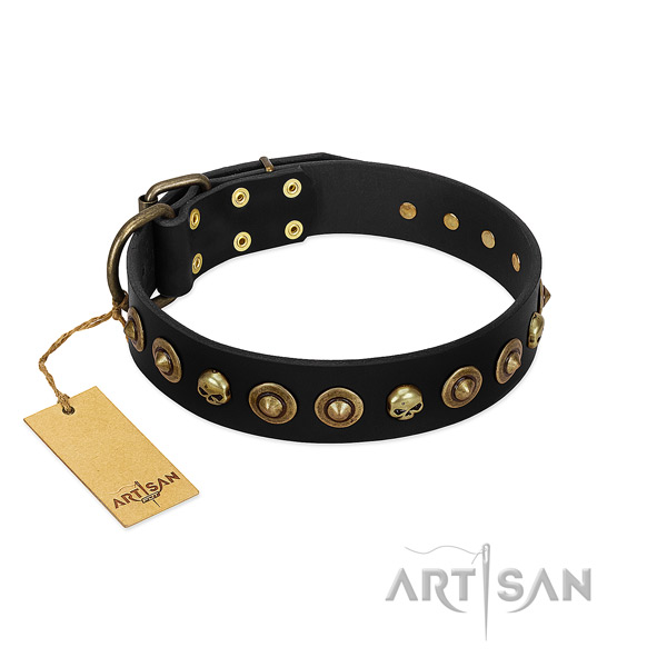 Full grain natural leather collar with awesome adornments for your four-legged friend