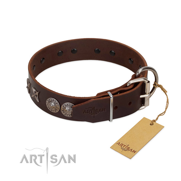 Everyday walking dog collar of natural leather with unusual studs