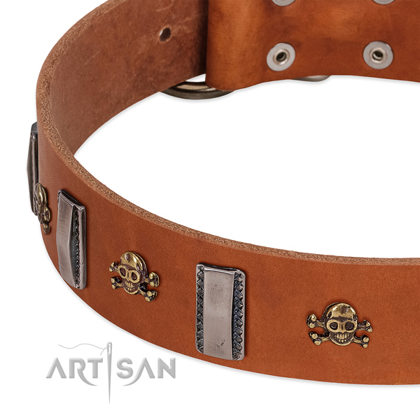 Top notch decorations on genuine leather dog collar for daily use