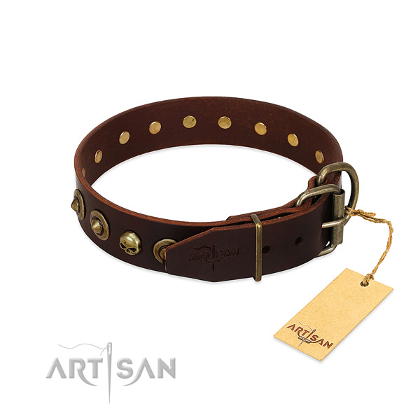 Genuine leather collar with fashionable adornments for your pet