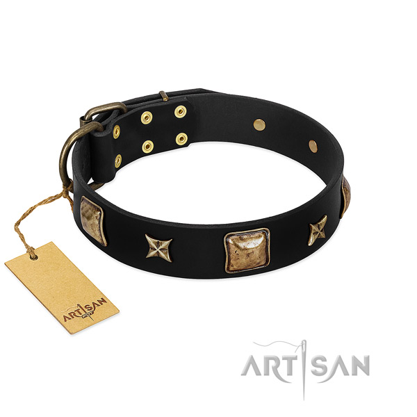 Natural leather dog collar of top rate material with impressive embellishments