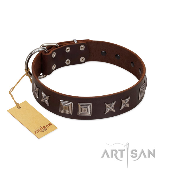 Natural leather dog collar with impressive studs handmade canine
