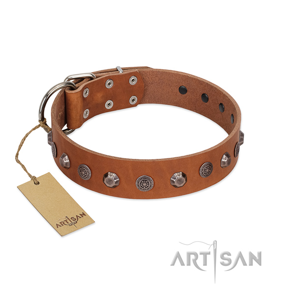 Stylish design full grain natural leather dog collar