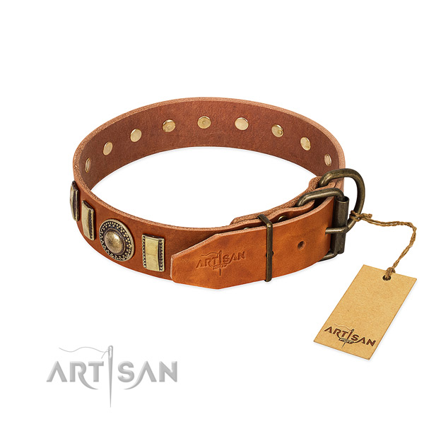 Amazing leather dog collar with durable hardware