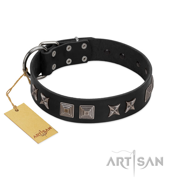 Leather dog collar with extraordinary studs made four-legged friend