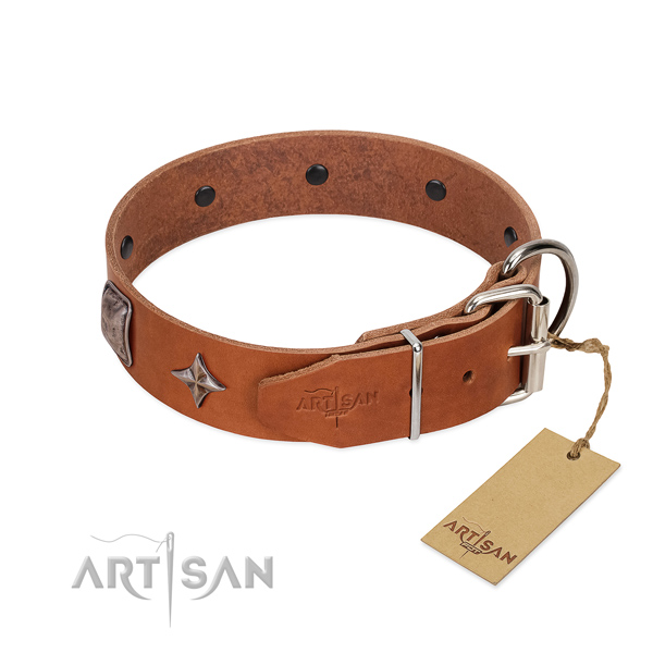 Flexible full grain genuine leather dog collar with amazing adornments