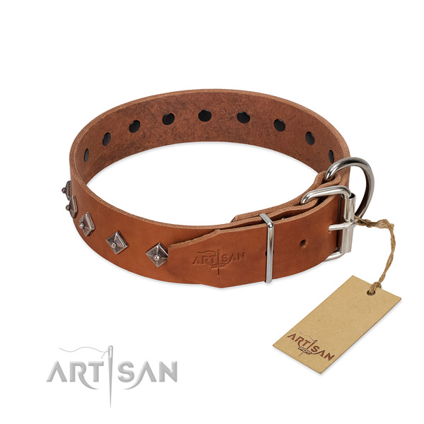 Leather dog collar with inimitable embellishments for your pet