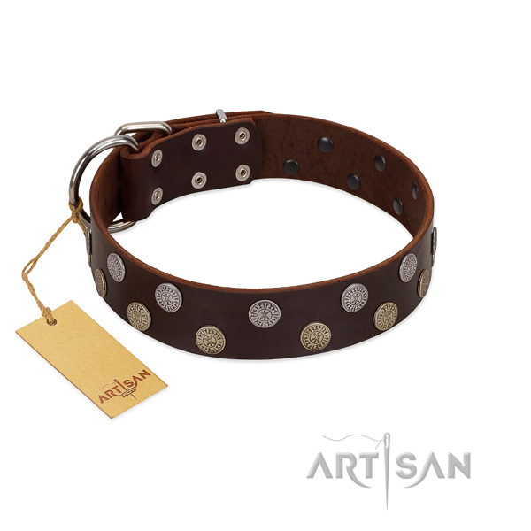 Incredible genuine leather collar for everyday walking your four-legged friend