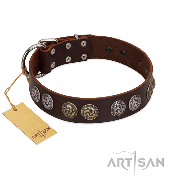 Corrosion proof hardware on significant full grain leather dog collar