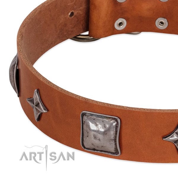 Soft to touch natural leather dog collar with reliable fittings