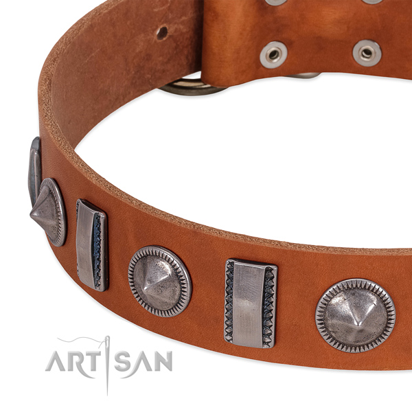 Impressive decorated full grain leather dog collar for comfy wearing