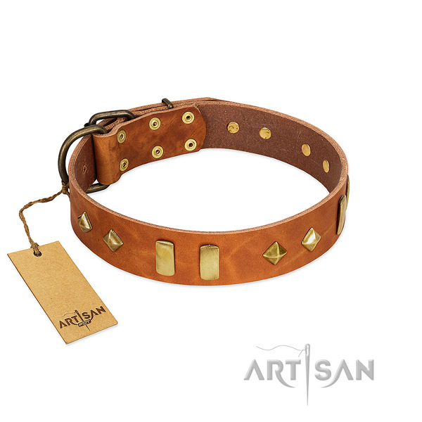 Everyday walking soft to touch full grain genuine leather dog collar with adornments