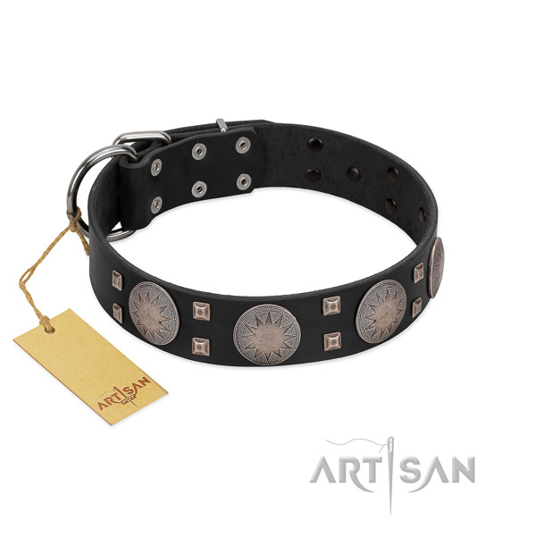 Inimitable genuine leather dog collar for everyday walking your pet