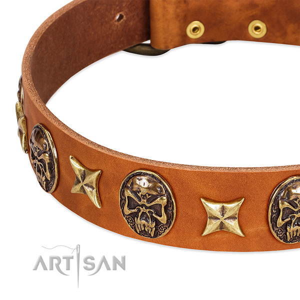 Durable buckle on full grain natural leather dog collar for your canine