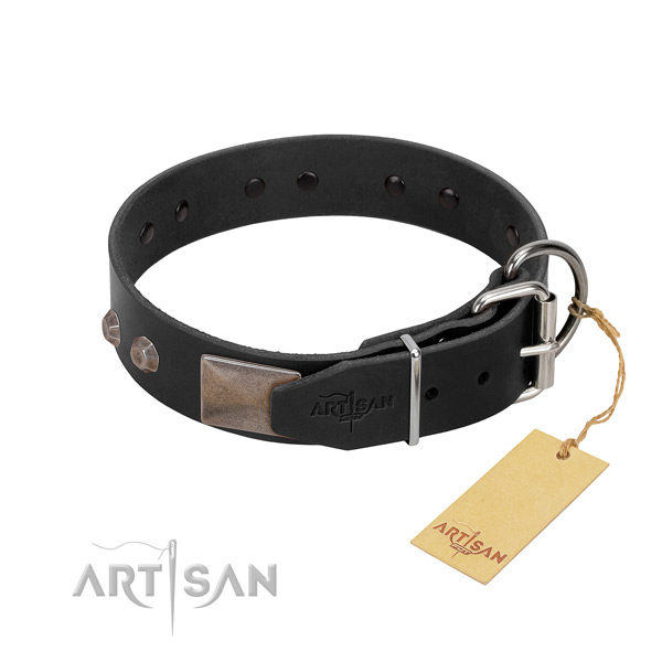 Exquisite full grain leather dog collar for walking in style your four-legged friend