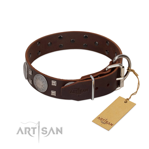 Fashionable full grain genuine leather dog collar for walking in style your dog