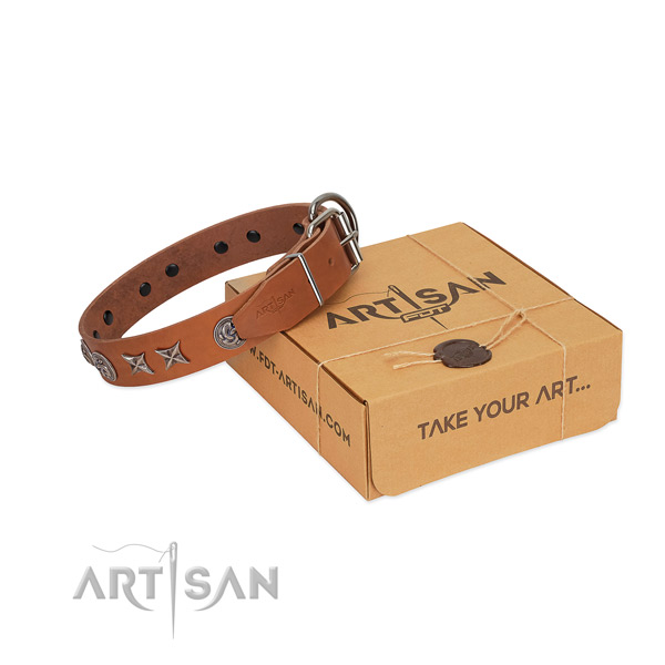 Fancy walking dog collar of natural leather with stunning studs