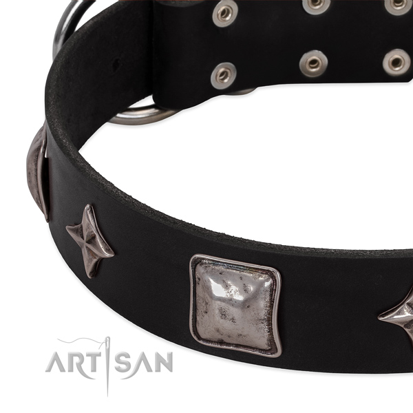 Trendy adorned leather dog collar for everyday walking