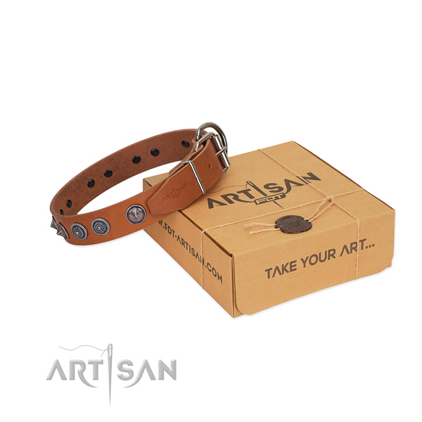 Strong buckle on leather dog collar for stylish walking your dog