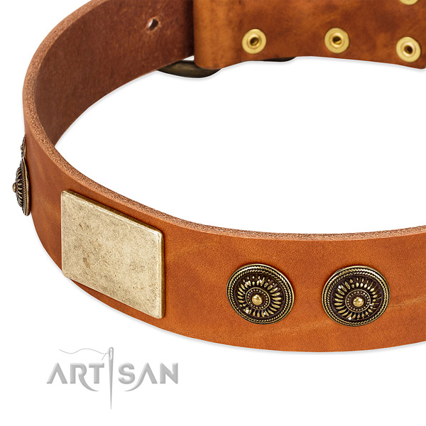 Studded dog collar made for your stylish doggie